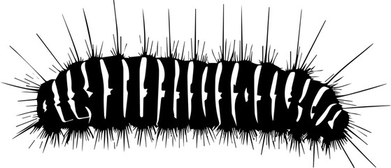 Gypsy Moth Caterpillar icon 2