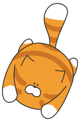 Funny kitten graphic print design