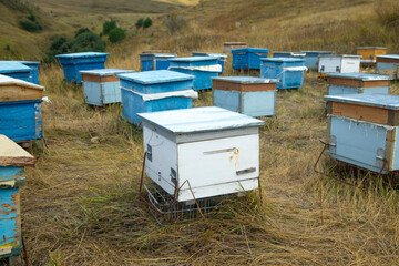 Many beehives at the nature.