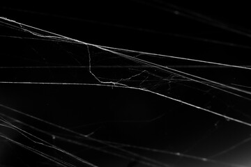 Close up of spiderweb on black background. Cobweb spider messy asymetrical web isolated. Black and...