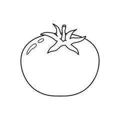 Tomato vector icon. farm product. Healthy fresh vegetable. Salad ingredient.