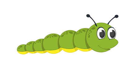 green caterpillar on white background