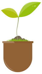 Flower pot with plant