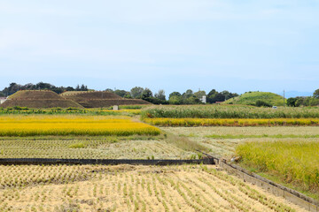 秋の埼玉県行田市埼玉古墳群