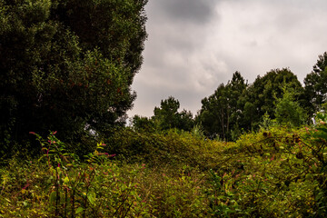 Obraz premium Monte da Picaraña, Ponteareas.