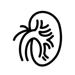 Kidney Icon