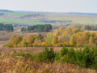 Beautiful autumn panoramic landscape in the forest. Autumn woods tree