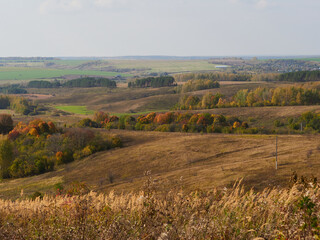 Fototapeta premium Beautiful autumn panoramic landscape in the forest. Autumn woods tree