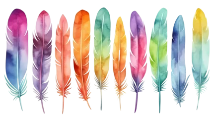 Tuinposter Set of bird feathers on transparent background © mashimara