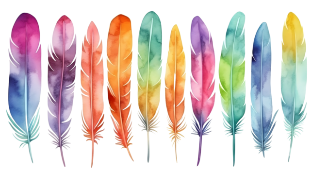 Set of bird feathers on transparent background