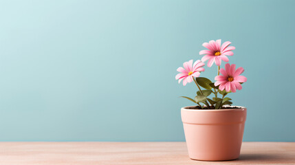 Pink flower in a mini pot