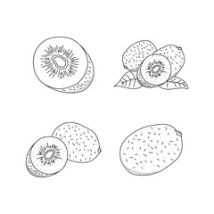 Hand drawn icon set of kiwi fruit isolated on white background.