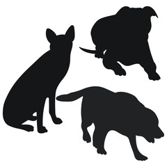 Sketch image of black silhouette dogs, outline of pets. Go, standing, sitting, lying, lie, running, jumping, training, walking, guarding, posing, play, showing