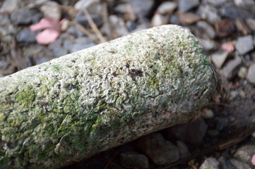 dirty brush on the ground