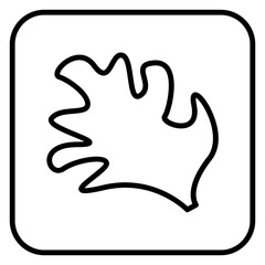 leaf