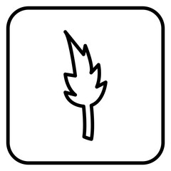 Obraz premium leaf