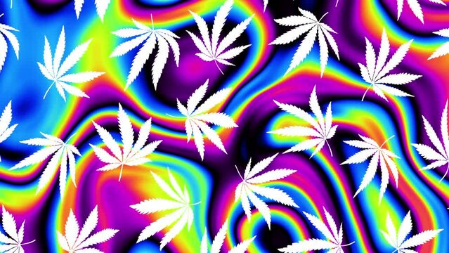 An abstract psychedelic cannabis leaves pattern motion graphic background.. 4k looping footage