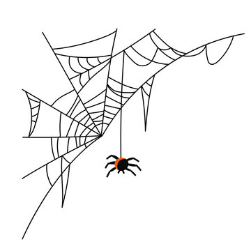 Spider hangs from a spider web. Torn corner cobweb and insect. Scary spiderweb of Halloween symbol. Hand drawn. Vector illustration isolated.