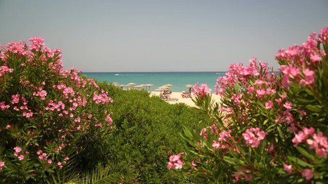 View of Paralia Skalas beach, Skala, Cephalonia, Ionian Islands, Greek Islands