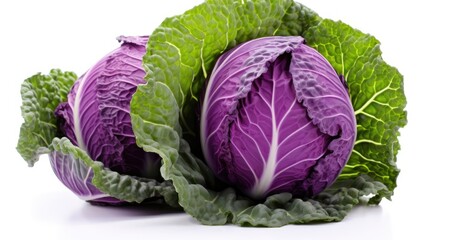 red cabbage isolated on white