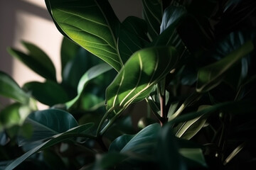 Nature and plants concept. Soft light shadows of tropical leaves and foliage background. Dense tropical dark greenery indoors background with copy space. Generative AI