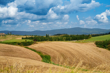 Obraz premium Rural landscape in Val d Orcia, Tuscany, at summer