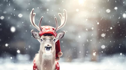 Fototapeten Christmas card with deer with red santa claus hat in snowy forest , new year  © ZEKINDIGITAL