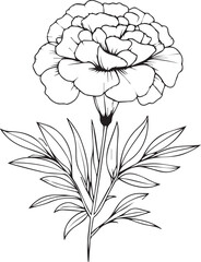 minimalist marigold tattoo in black and white, Mexican marigold tattoo, marigold flower drawing, marigold flower drawing for kids, flower coloring pages marigold drawing for kids,  marigold wall decor