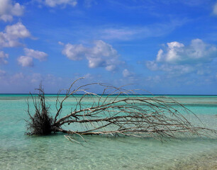 Praia de Cayo Largo