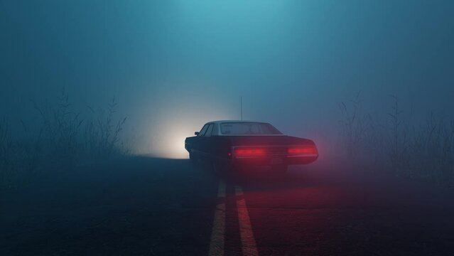 Car parked in middle of road in foggy moody forest during blue hour