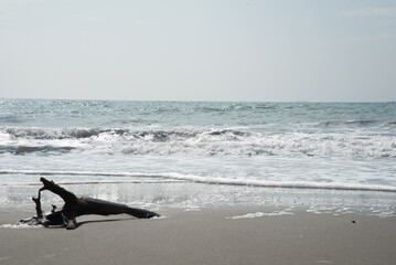 浜辺、海（beach　SEA　side）