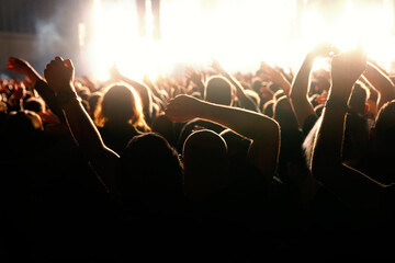 Happy people crowd with raised hands on a dance floor during a concert.