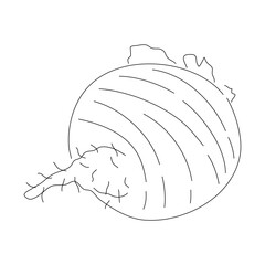Hand-drawn black sketch of beetroot. Doodle-style icon. Vector editable stroke.