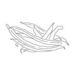 Green beans doodle icon. Hand drawn black sketch. Vector editable stroke.