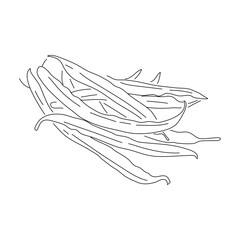 Fototapeta na wymiar Doodle-style icon of green beans in a hand-drawn black sketch. Vector editable stroke.