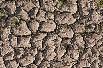 Soil cracked by drought.