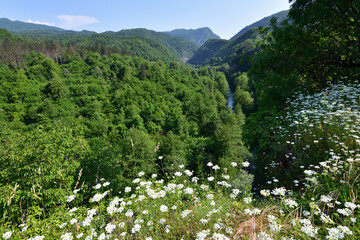 Nature of Montenegro - canyon and river