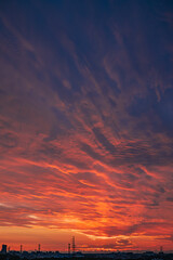 初秋に映る一面の朝焼け雲