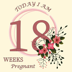 Pregnancy weeks milestone cards, pregnant women, 18 weeks pregnant