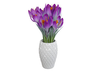 Photo color flowers in a white pot isolated on a transparent background