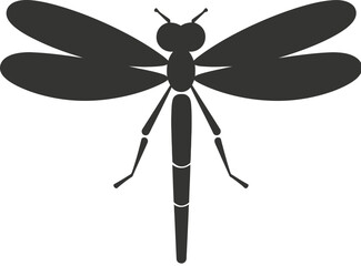 Dragonfly Insect icon