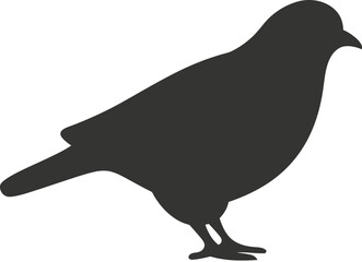 Pigeon icon
