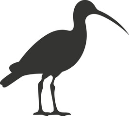 Ibis bird icon