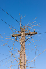 Old wooden telephone pole on a background of blue sky. The small depth of field