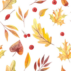 Hand drawn watercolor pattern with autumn leaves