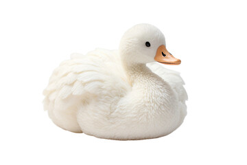 Plush Swan on White Background Generative AI