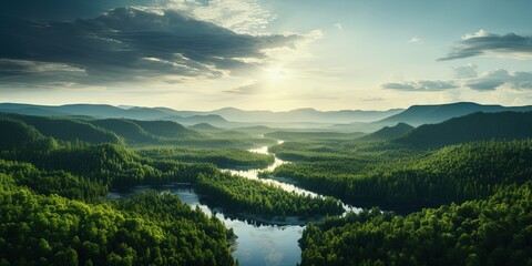 Beautiful green amazon forest landscape at sunset sunrise. Adventure explore air dron view vibe