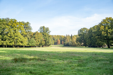 landscape with trees in late summer light