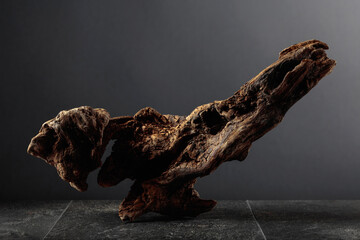 Old dry wooden snag on a black stone table.