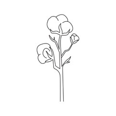 Vector illustration of cotton plant.